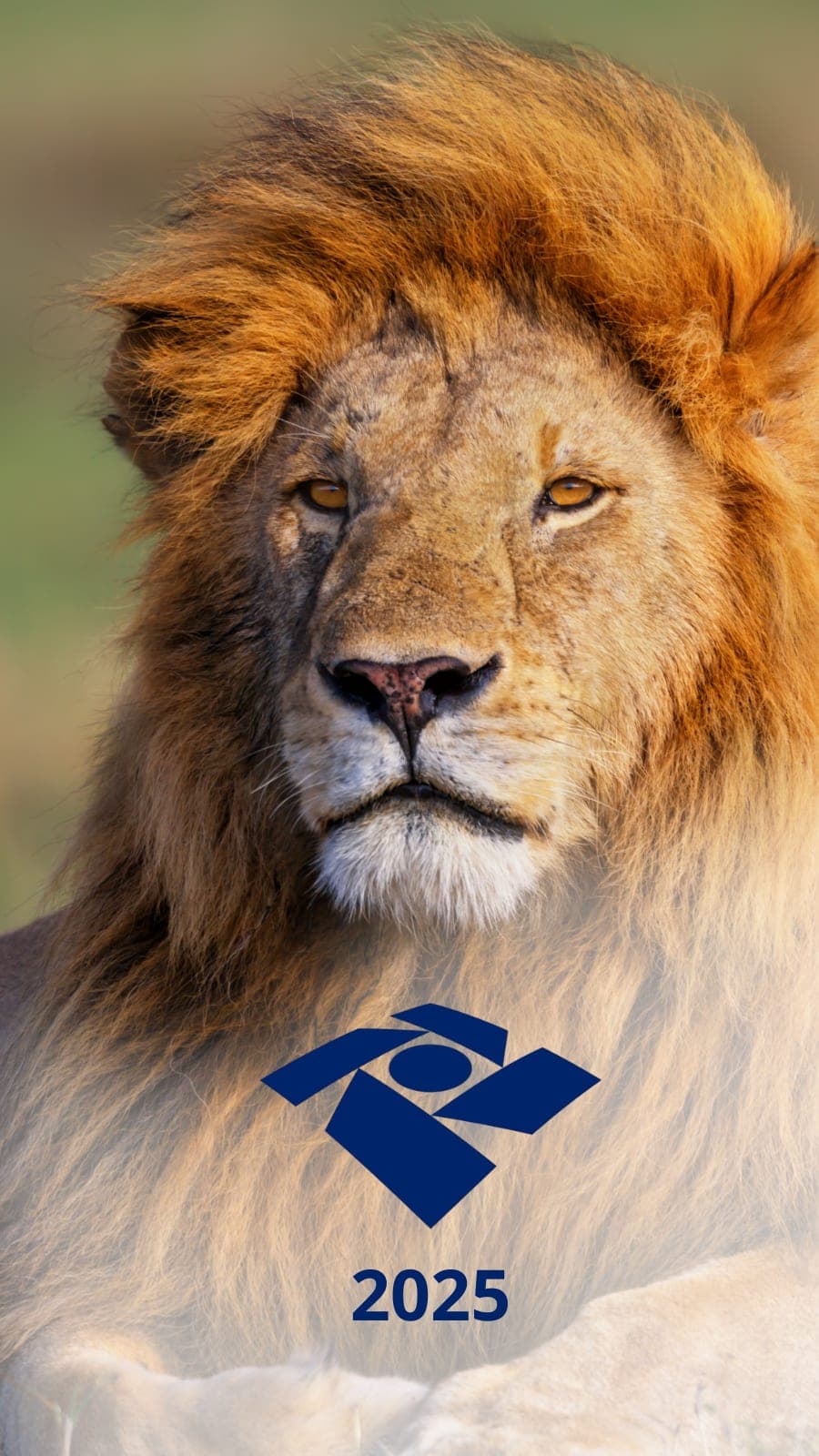 ALERTA do Imposto de Renda: Prazo já encerrou?